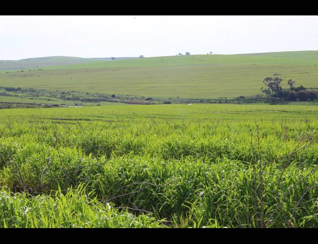 235HA FARM FOR SALE IN MALMESBURY RURAL